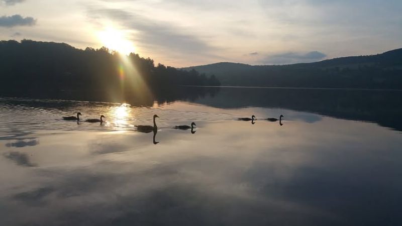 Fishing on the Connecticut River near McIndoe Falls, Vermont