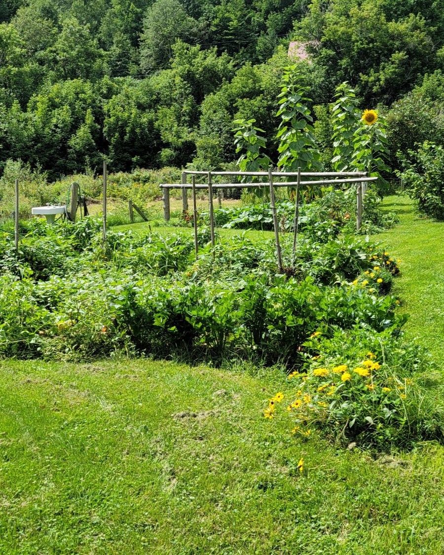 Gloria's garden